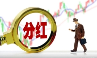 深粮控股：2024年净利润3